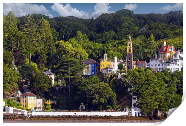 Portmeirion Print by Rory Trappe