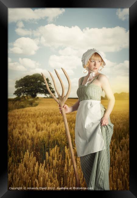 Woman In Wheat Field Framed Print by Amanda Elwell