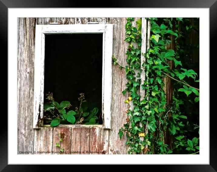 Overgrown cottage window Framed Mounted Print by Stephanie Moore