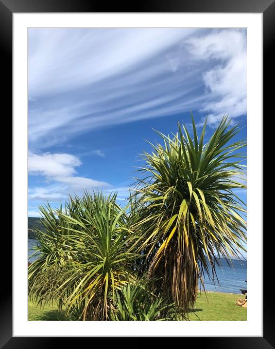 Plant leaves Framed Mounted Print by Paddy 