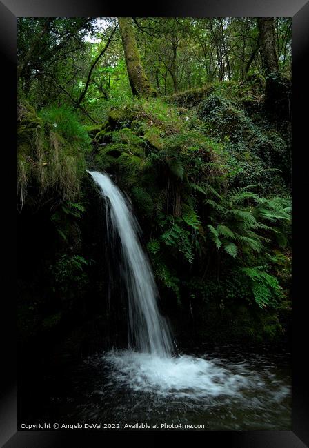 Waterfall in the middle of Carvalhais forest Framed Print by Angelo DeVal