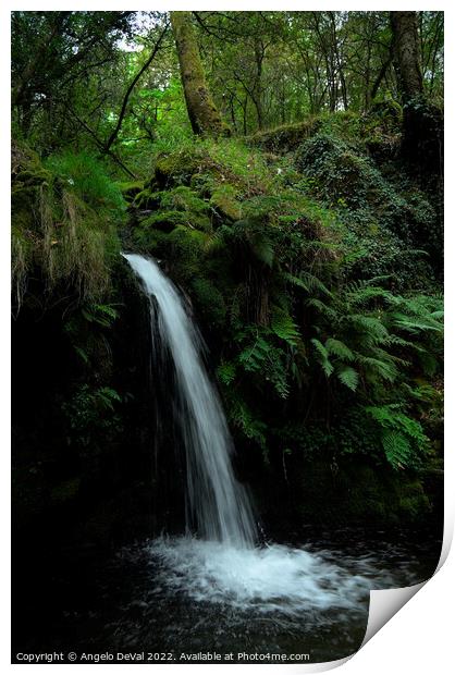 Waterfall in the middle of Carvalhais forest Print by Angelo DeVal