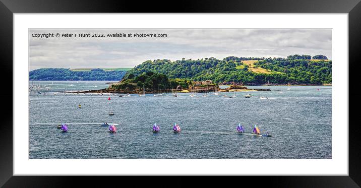 Dinghy Racing Plymouth Sound Framed Mounted Print by Peter F Hunt