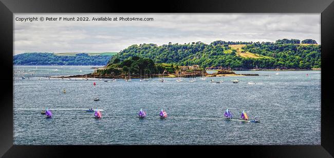 Dinghy Racing Plymouth Sound Framed Print by Peter F Hunt