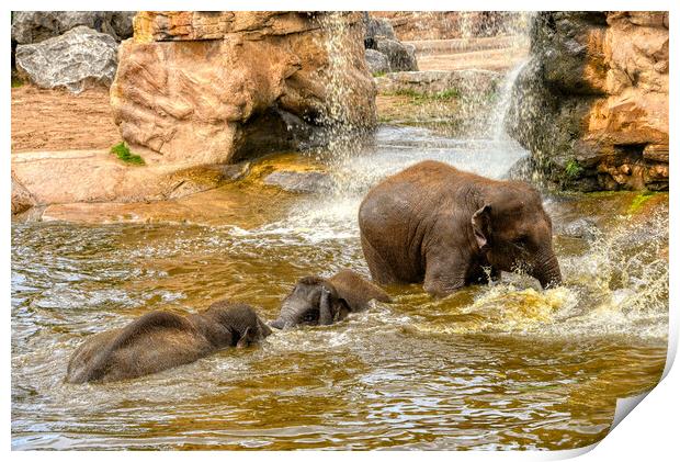 Play time for the elephants Print by simon cowan