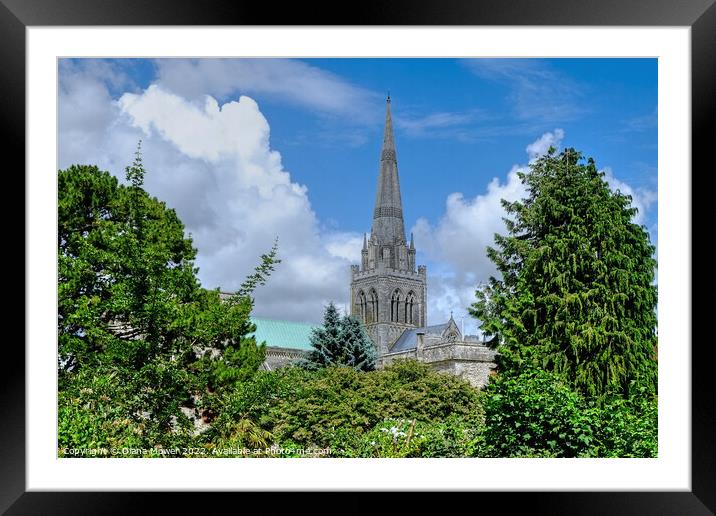 Chichester Cathedral Framed Mounted Print by Diana Mower