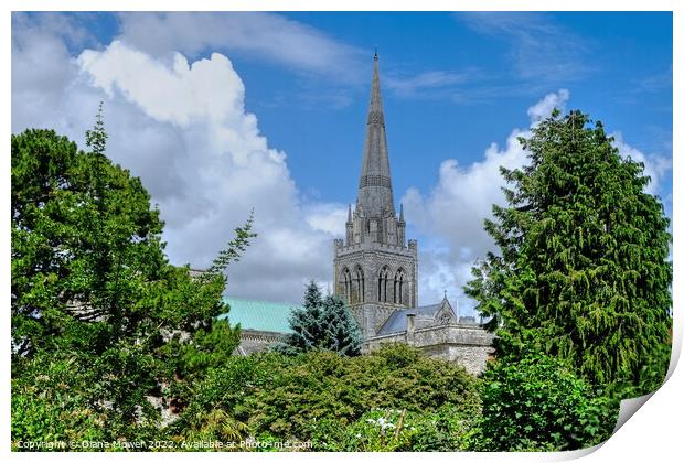 Chichester Cathedral Print by Diana Mower