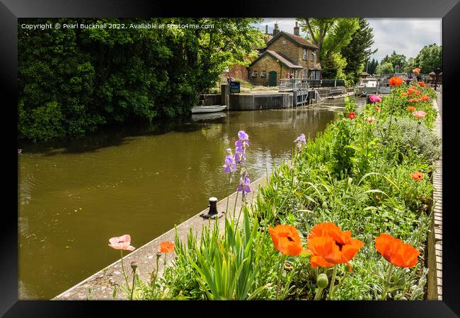 Boulters Lock on the River Thames Framed Print by Pearl Bucknall