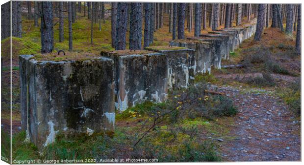 A line of Defence; anti-tank cubes from WW2 Canvas Print by George Robertson