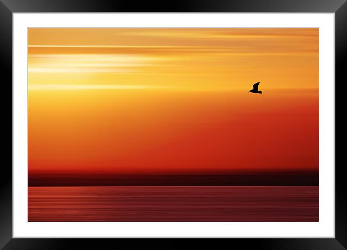 Solo Flight Framed Mounted Print by Alice Gosling