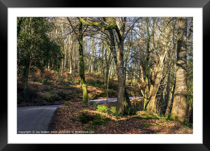 Woodland towards Exmoor, Devon, UK Framed Mounted Print by Joy Walker