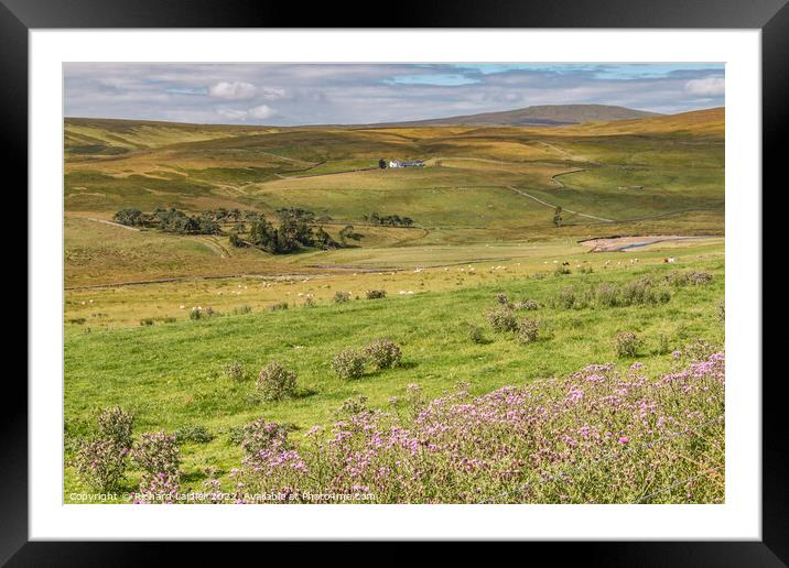Sunshine and Shadows on Peghorn Lodge, Teesdale Framed Mounted Print by Richard Laidler