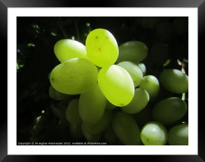 grapes Framed Mounted Print by Ali asghar Mazinanian