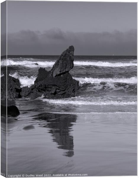 Solitude in the Monochromatic Seascape Canvas Print by Dudley Wood