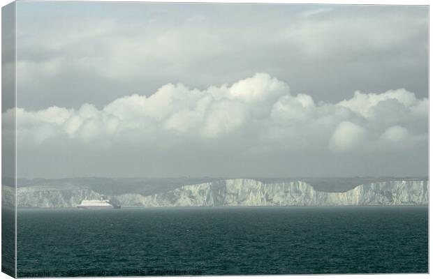 White cliffs of Dover in mist Canvas Print by Sally Wallis