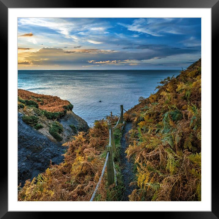 Down to the Sea Framed Mounted Print by Darren Ball