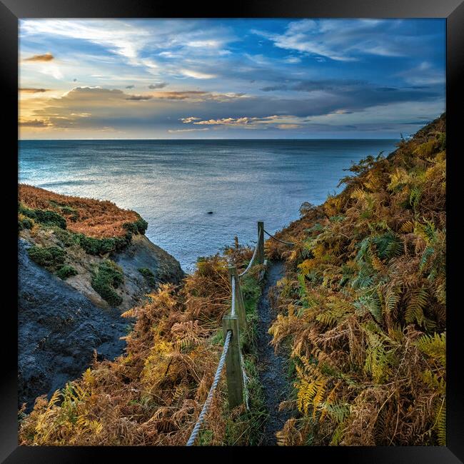 Down to the Sea Framed Print by Darren Ball