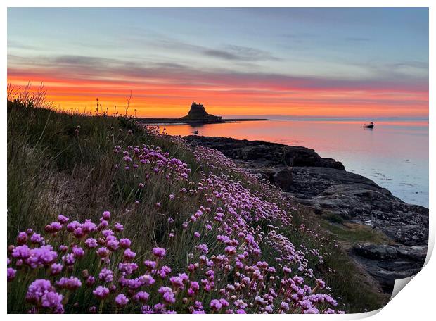 Holy Island Sunrise Northumberland Coast  Print by David Thompson