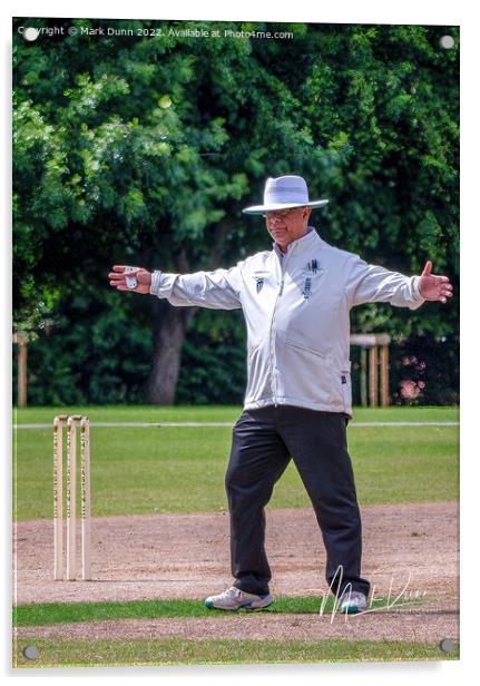 Cricket Umpire  Acrylic by Mark Dunn
