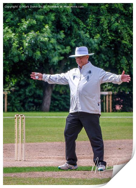 Cricket Umpire  Print by Mark Dunn
