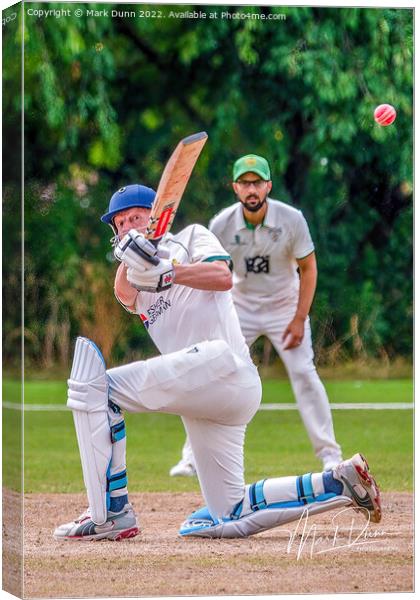 A cricketer batting a ball Canvas Print by Mark Dunn