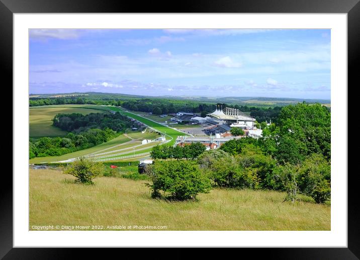 Goodwood from The Trundle Framed Mounted Print by Diana Mower