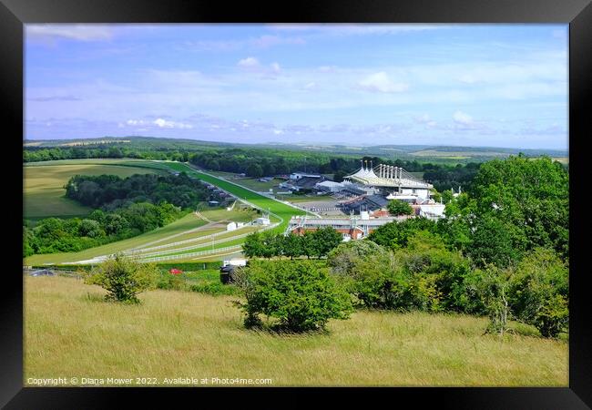 Goodwood from The Trundle Framed Print by Diana Mower