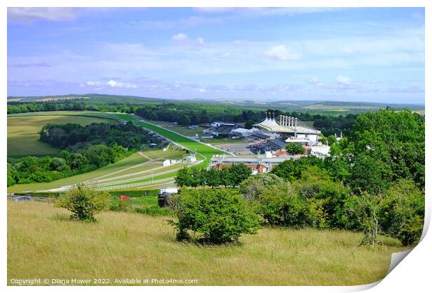 Goodwood from The Trundle Print by Diana Mower