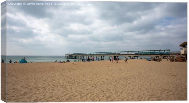 A day out at the beach Canvas Print by Derek Daniel