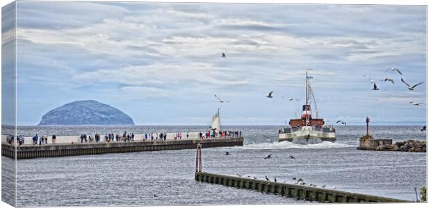 Paddle steamer Waverley reversing out of Girvan Canvas Print by Allan Durward Photography