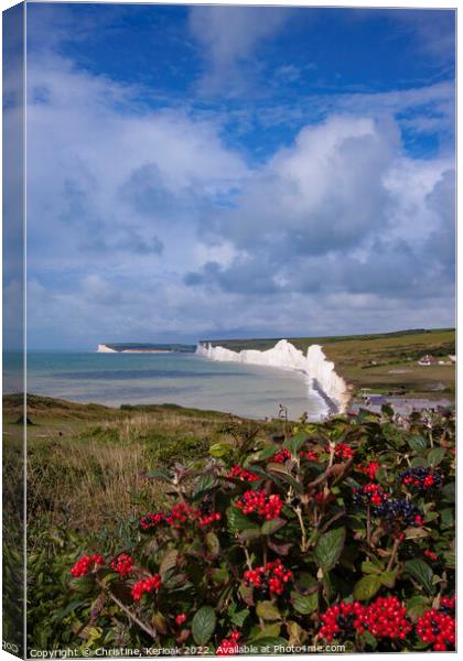 Birling Gap over Red Berries Canvas Print by Christine Kerioak