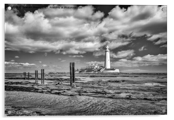 St Marys lighthouse and jetty posts monochrome Acrylic by Graham Moore