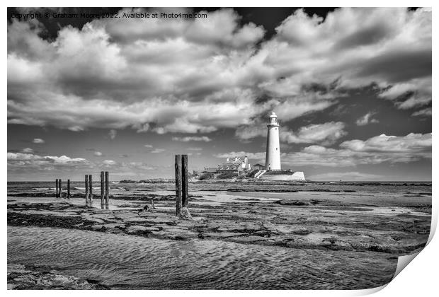 St Marys lighthouse and jetty posts monochrome Print by Graham Moore
