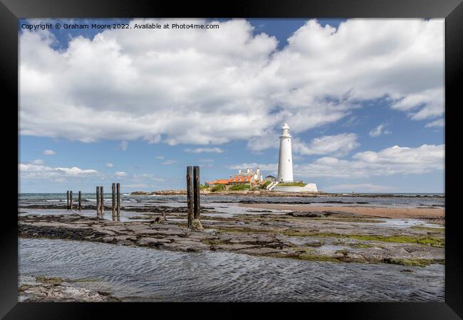 St Marys lighthouse and jetty posts Framed Print by Graham Moore