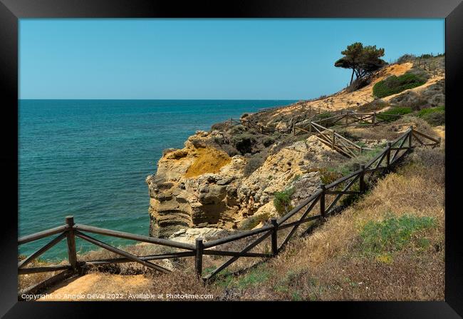 Cliff Trail in Olhos de Agua. Algarve Framed Print by Angelo DeVal