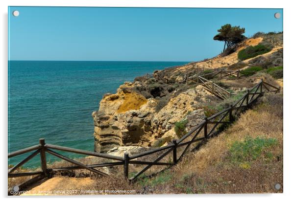 Cliff Trail in Olhos de Agua. Algarve Acrylic by Angelo DeVal