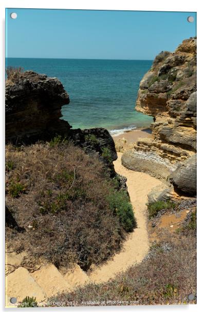 Stairs to Gorgeous Beach in Olhos de Agua. Algarve Acrylic by Angelo DeVal