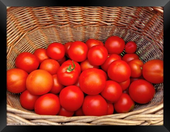 Basket with tomatoes  Framed Print by Martin Baroch