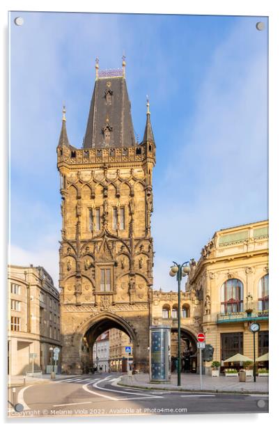 Powder Gate in Prague Acrylic by Melanie Viola