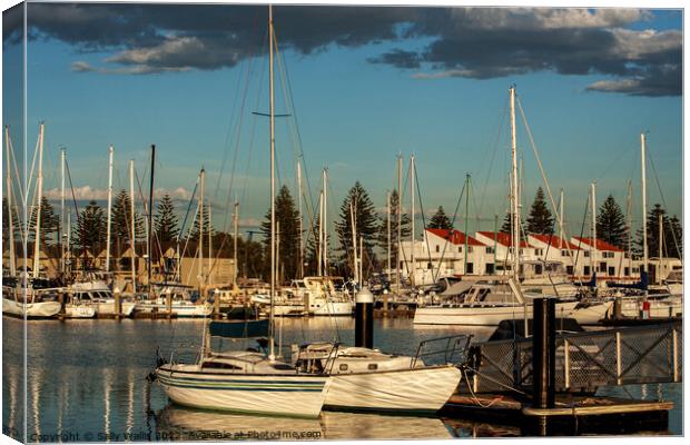 Adelaide Yacht Marina in evening light Canvas Print by Sally Wallis