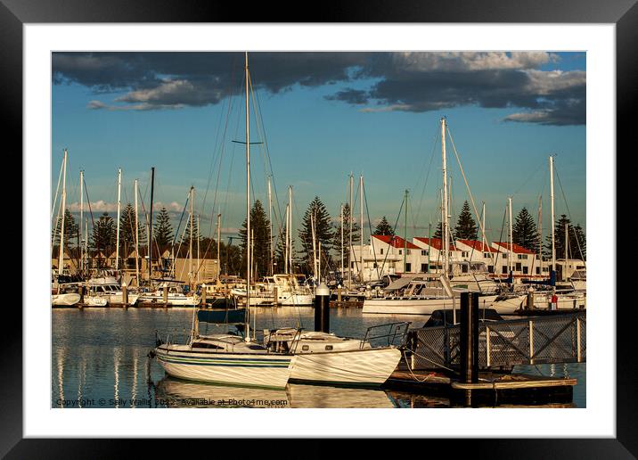 Adelaide Yacht Marina in evening light Framed Mounted Print by Sally Wallis
