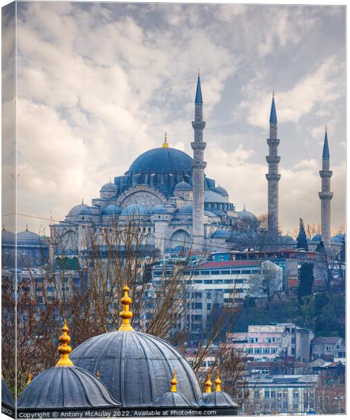Istanbul Suleymaniye Mosque Canvas Print by Antony McAulay