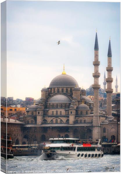 Istanbul Yeni Cami Mosque at Dusk Canvas Print by Antony McAulay