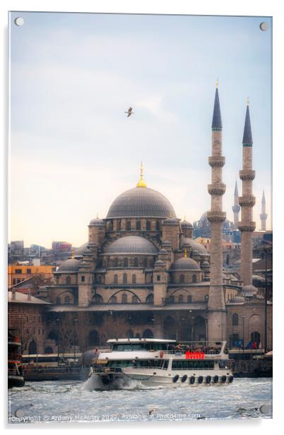 Istanbul Yeni Cami Mosque at Dusk Acrylic by Antony McAulay