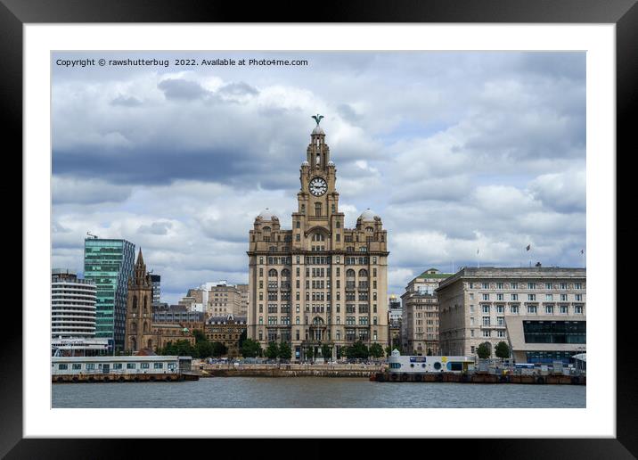 Liverpool Liver Building Framed Mounted Print by rawshutterbug 