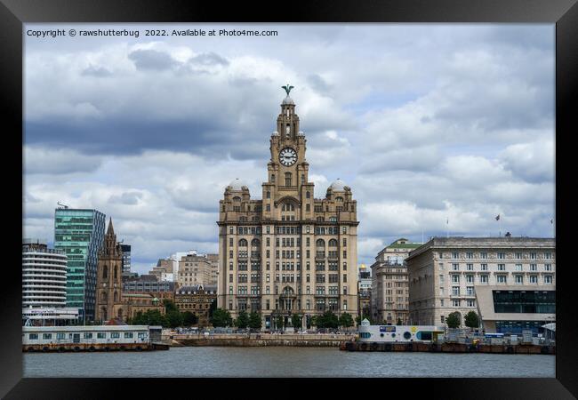 Liverpool Liver Building Framed Print by rawshutterbug 