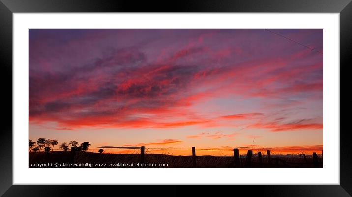 Shepherd's Delight.  Framed Mounted Print by Claire Mackillop