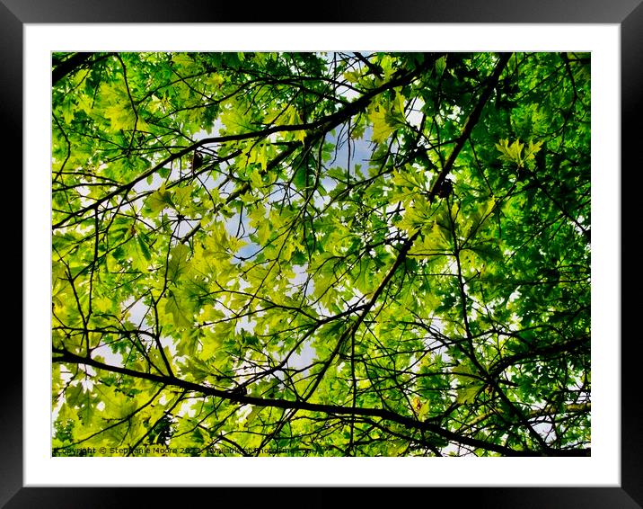 Intertwined Framed Mounted Print by Stephanie Moore