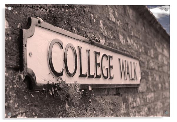 College Walk Acrylic by Robert Ferrin