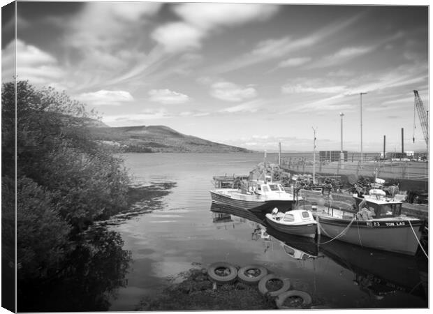 B&W Boats in at the harbour  Canvas Print by Paddy 